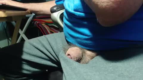 _jimmini online show from 4, 4, 2026