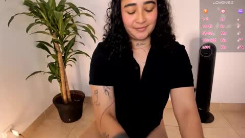     online show from 3, 12, 2025