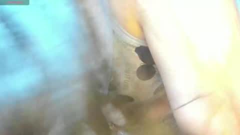 Mily online show from 15, 2, 2025