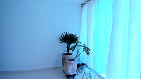 Sam   --- next stream 1 dic  food and vino show . online show from 9, 11, 2025