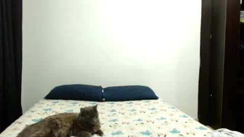 Sofia Parker online show from 3, 10, 2025