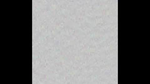 _tammarra_ online show from 31, 10, 2025