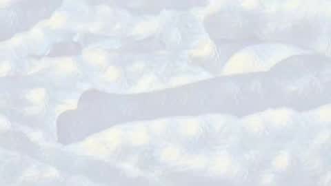 Evi online show from 14, 1, 2025