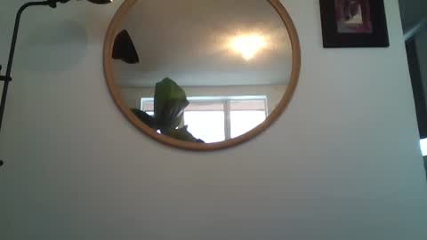 Snapshot of _tutti_frutti_ chatting on 12, 7, 2026 _tutti_frutti_ online show from 12, 7, 2026