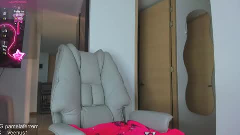 Snapshot of _veenus chatting on 2, 5, 2026 stephany online show from 2, 5, 2026