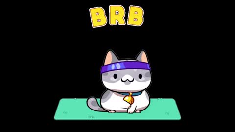 Sol online show from 15, 12, 2024