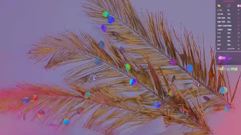 Ally online show from 6, 3, 2025