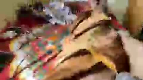 Snapshot of aachujos97 chatting on 12, 6, 2026 Aachujos online show from 12, 6, 2026