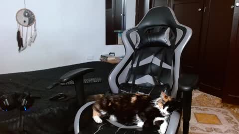 aarman online show from 17, 1, 2025