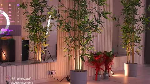 Snapshot of abbela_white chatting on 3, 2, 2025 Alexa online show from 3, 2, 2025