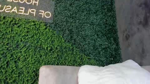 Snapshot of abby_me chatting on 19, 2, 2025 A B B Y online show from 19, 2, 2025