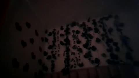 abby_moss_2 online show from 8, 4, 2026