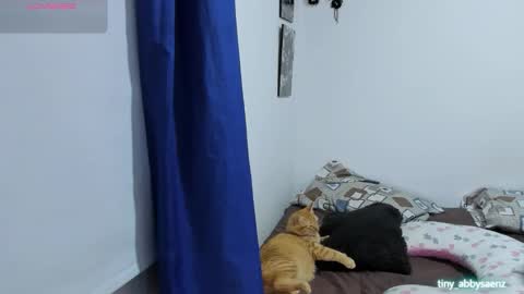 Abby Saenz online show from 18, 10, 2025