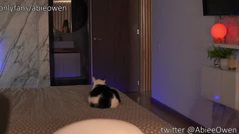 abie_owen online show from 28, 9, 2025