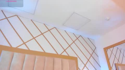    online show from 6, 11, 2025