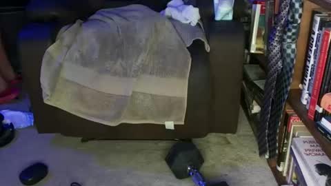 Snapshot of acacias2022 chatting on 14, 2, 2026 aCACiAs2022 online show from 14, 2, 2026