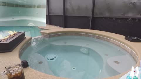 Adam And Eve online show from 22, 12, 2024