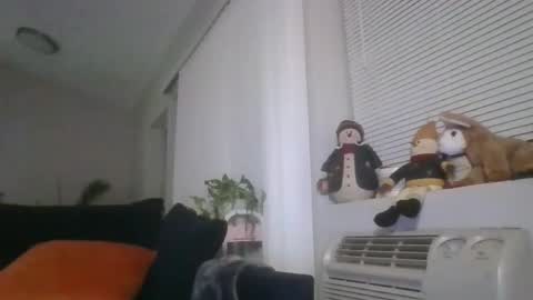 Snapshot of adamishere1 chatting on 1, 3, 2026 Britishadam online show from 1, 3, 2026