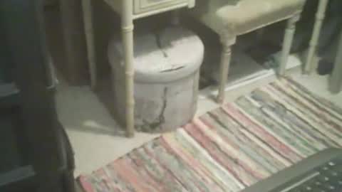 adamsny online show from 4, 11, 2025