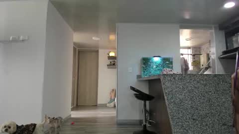 eva online show from 27, 2, 2026