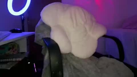 Adara online show from 5, 2, 2026