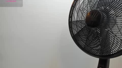 adbel sady online show from 28, 10, 2025