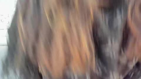 Snapshot of addiflower chatting on 23, 12, 2024 addi online show from 23, 12, 2024