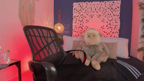 adonis_wb online show from 15, 1, 2026