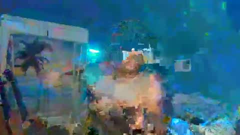 Adonis XDDDDDDDD Woody online show from 31, 12, 2024