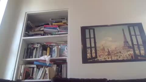 Snapshot of aestheticform chatting on 13, 4, 2026 aesthetic form online show from 13, 4, 2026
