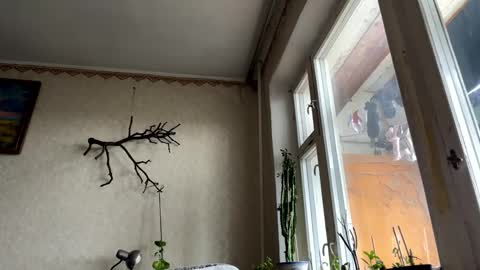 vegans taste better online show from 14, 10, 2025