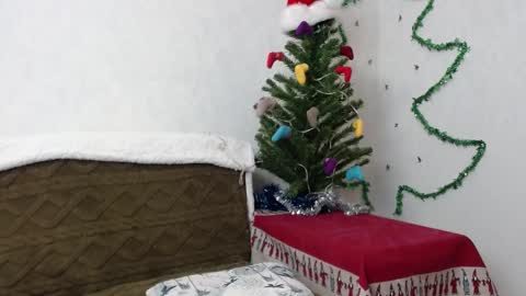 Snapshot of agatha_moore_ chatting on 2, 1, 2025 Agatha online show from 2, 1, 2025