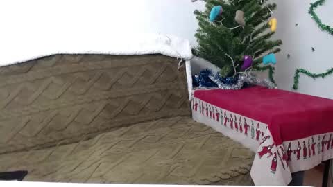 Snapshot of agatha_moore_ chatting on 4, 1, 2025 Agatha online show from 4, 1, 2025