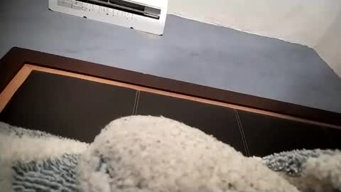 Snapshot of airoon91 chatting on 16, 11, 2025 airoon91 online show from 16, 11, 2025