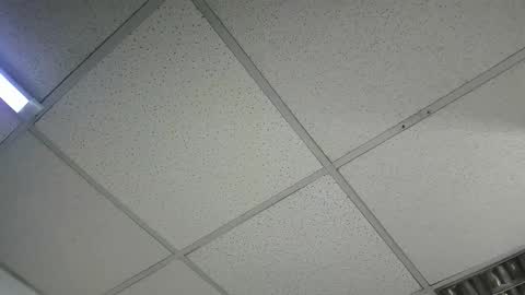 Aisha online show from 16, 1, 2026