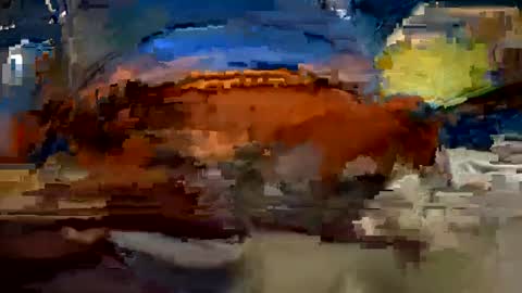 Snapshot of aj297914 chatting on 1, 10, 2025 aj297914 online show from 1, 10, 2025