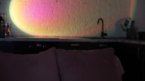 Snapshot of al1ce_fox chatting on 13, 1, 2026 Alice and Nate online show from 13, 1, 2026