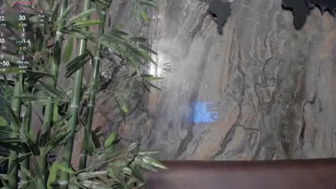 ALAHIA online show from 16, 12, 2025