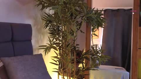 alaiaaddict online show from 4, 2, 2026