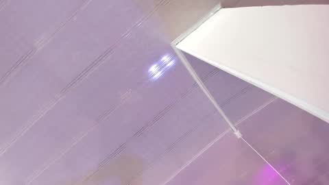 Maeve  online show from 2, 3, 2025