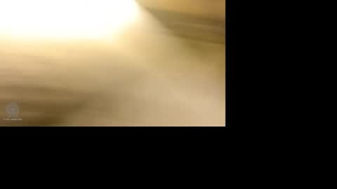 alechiker420x online show from 9, 1, 2025