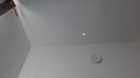 David online show from 7, 12, 2024