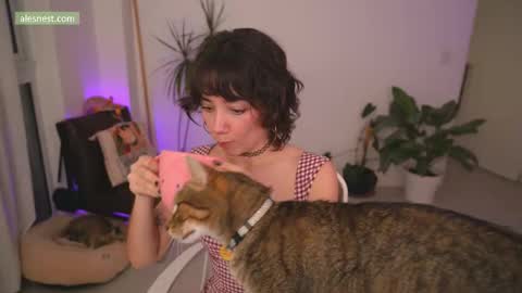 Ale online show from 3, 12, 2025