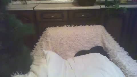 Luly online show from 5, 1, 2025