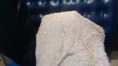 Luly online show from 14, 2, 2025