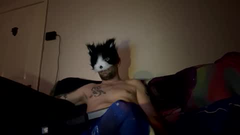 Snapshot of alex_essex69 chatting on 26, 2, 2026 alex_essex69 online show from 26, 2, 2026