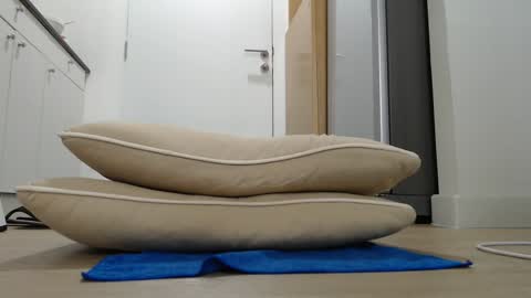 Nicha online show from 21, 9, 2025