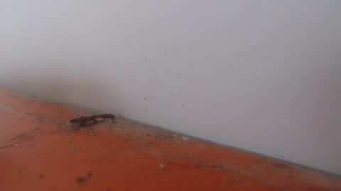 Snapshot of alexamdergal chatting on 24, 11, 2025 Alexamdergal online show from 24, 11, 2025