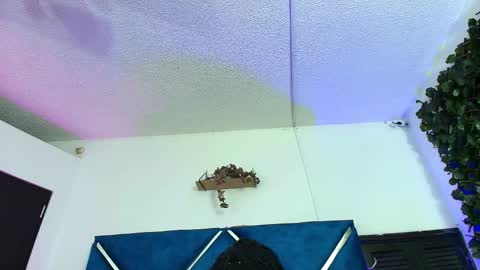 Snapshot of alexarousse4u chatting on 24, 2, 2026 Alexa online show from 24, 2, 2026