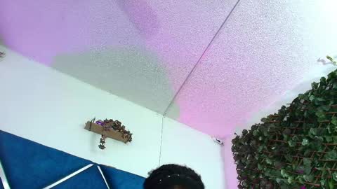 Alexa online show from 9, 4, 2026